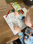 Malehæfte - Vilde dyr - 16 sider