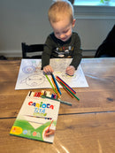 Farveblyanter - 24 stk. forskellige farver