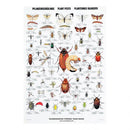 Plakat: Planternes Skadedyr - 70 x 100 cm. - Billede 1