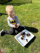 Sorteringsbakke i plast 34 x 25,5 x 5,5 cm.