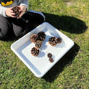 Sorteringsbakke i plast 34 x 25,5 x 5,5 cm.