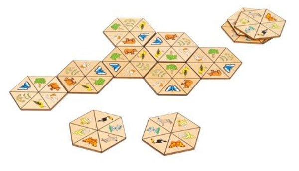 Toys for Life - Hexagon Natur! - Billede 1