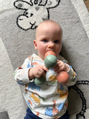 Rasleinstrumenter - 5 dele - FLEXA - Fra 6 mdr.