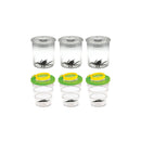 Et sæt med 6 stk insektmikroskoper/insektglas. - Billede 1