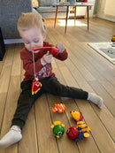 Tolo Magnetisk Fiskesæt med 6 fisk og 2 stænger