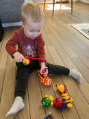 Tolo Magnetisk Fiskesæt med 6 fisk og 2 stænger