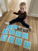 Memo MEGA med dyr - 48 brikker